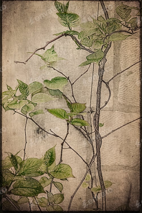 Preview: Image Of A Vine With Texture And Artistic Sketch Effect