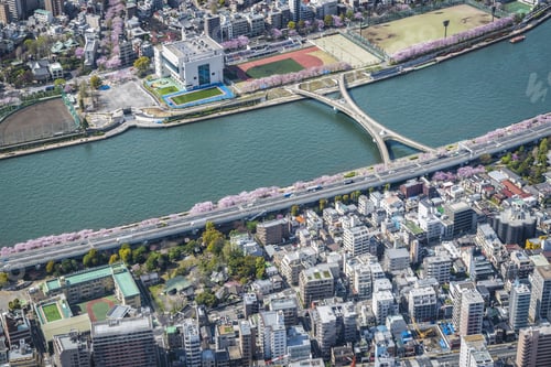 Preview: Tokyo Aerial View Of Blossoms Cherry Tress By The River With Bridge, Japan