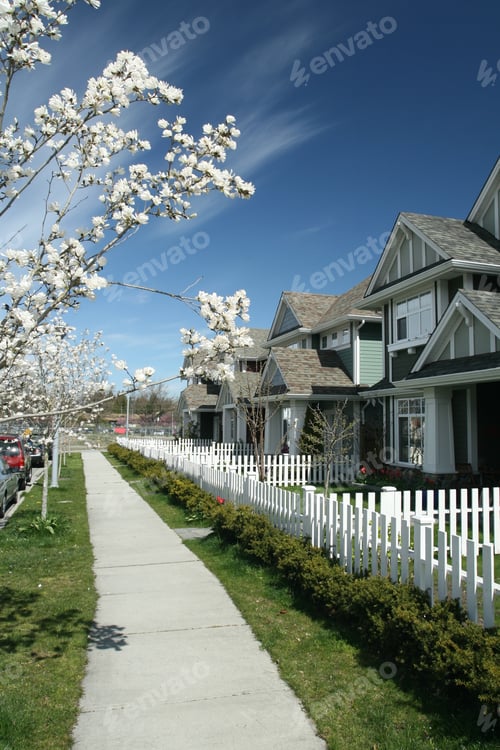 Aperçu: Spring Bloom In Suburban Neighborhood