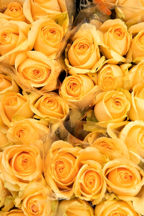 Preview: Close Up Of Yellow Roses On The Market. Selective Focus