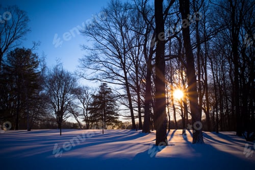 Preview: Beautiful Sunset Night Winters Cape Of Tree, Snow And Setting Sun