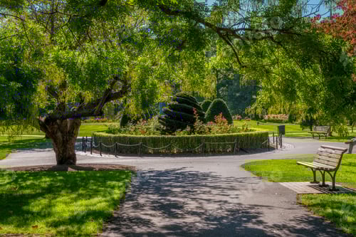 Preview: Boston Usa Public Garden, Common Frog Pond And City Skyline.