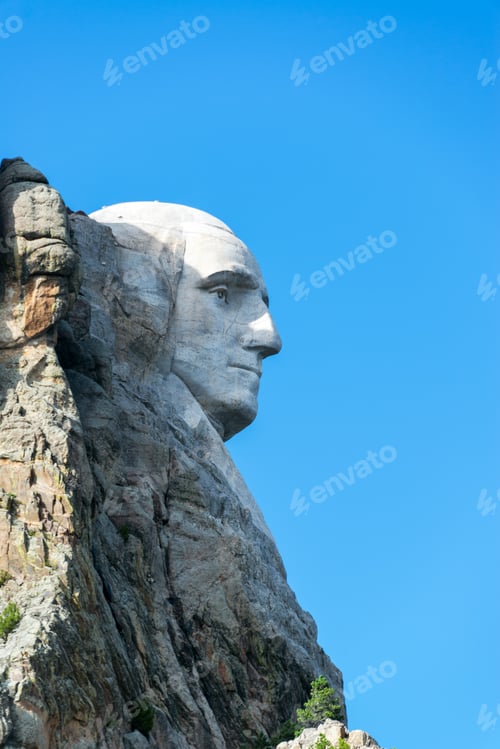 Preview: Vertical Profile View Of George Washington At Mt Rushmore