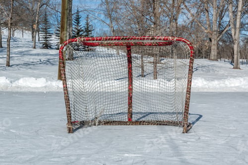 Preview: Outdoor Shinny Hockey Net.