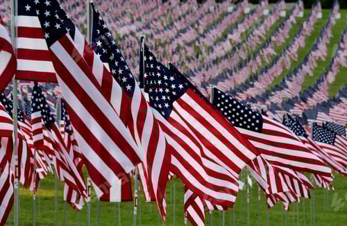 Preview: Field of American Flags on Green Grass