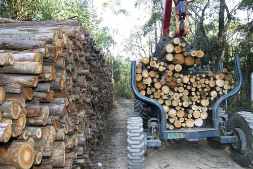 Preview: Cut Logs Stacked