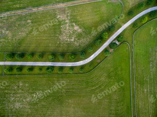 Preview: Horse Farm Ranch Landscape In Toronto Canada