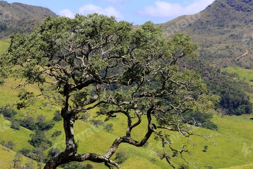 Preview: View Of Serra Da Canastra National Park In Countryside Of Minas Gerais State, Brazil.