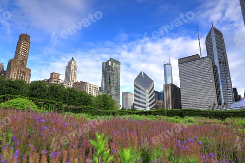 Preview: The Chicago Skyline From Lurie Garden.