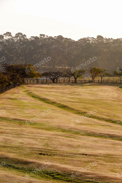 Visualização: Paisagem rural do pôr do sol. Área de fazenda no interior do Brasil.