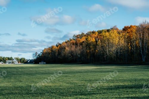 Preview: Autumn Colorful Scenery With Blue Sky And Grass Field, Wisconsin