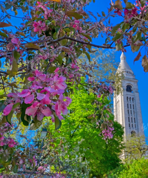 Preview: The Basilica Of The Sacred Heart Of Paris, Commonly Known As Sacré-Cœur Basilica, Located In The