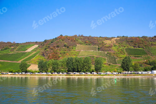 Preview: Terraced Vineyard Along The Rhine River In Germany
