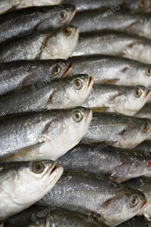 Preview: Fish On A Fish Market In Brazil