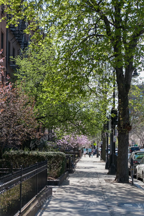 Preview: Season Of Spring In Boston