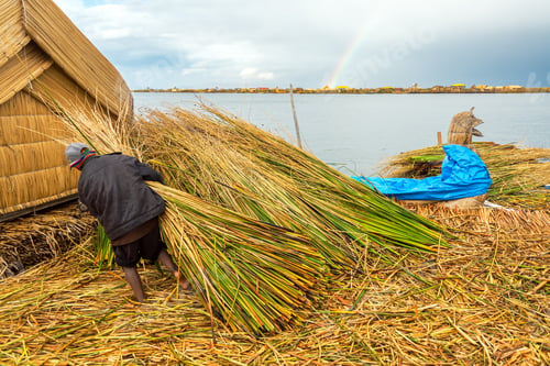 Preview: Man Working On The Uros Floating Islands On Lake Titicaca With A Rainbow In The Background