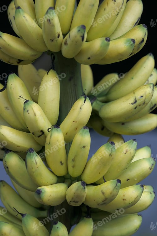 Preview: Bunch Of Banana Gold To Sale In Market