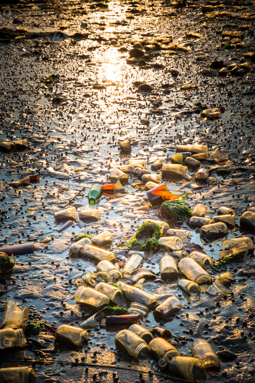 Preview: Polluted Beach Covered In Old Glass Bottles From Landfill At Dead Horse Bay In Brooklyn Ny