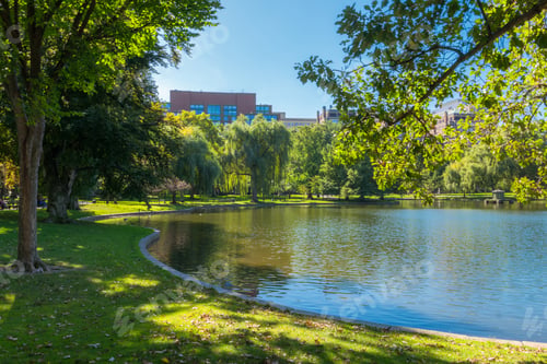 Preview: Boston Common Frog Pond Is A Central Public Garden Park In Downtown Boston, Massachusetts. And City