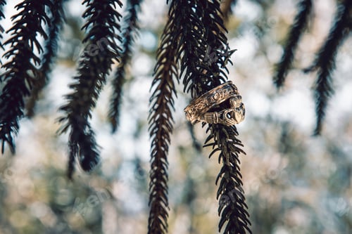 Preview: Golden Wedding Rings Hanging On Branch On The Green Background