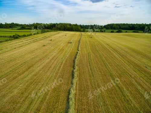 Preview: Horse Farm Ranch Landscape In Toronto Canada
