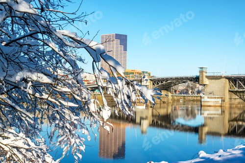Preview: Snow Covered Branches In Downtown Portland, Oregon With The Morrison Bridge