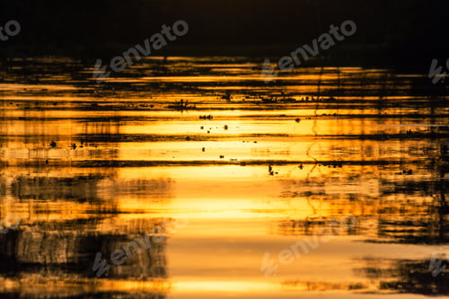 Preview: View Of A Fiery Orange Sunset Being Reflected In A River In The Amazon Rainforest Near Iquitos, Peru