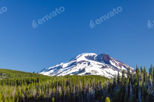 Preview: View Of A Forest Surrounding One Of The Three Sisters Mountains