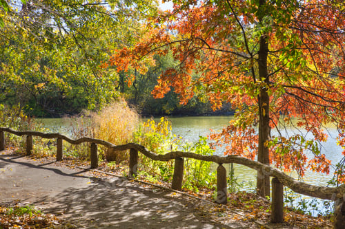 Preview: Autumn Central Park, New York City