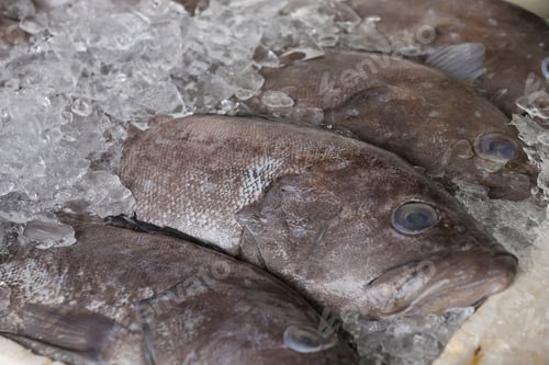 Preview: Fish To Sale At Open Air Market