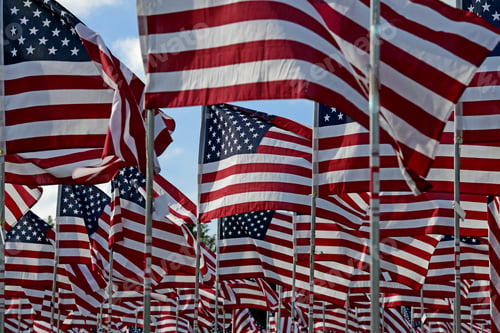Preview: Field Of American Flags
