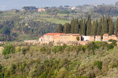 Preview: Village In The Tuscan Countryside As Seen From Siena, Italy, Located In Tuscany With An Olive Grove