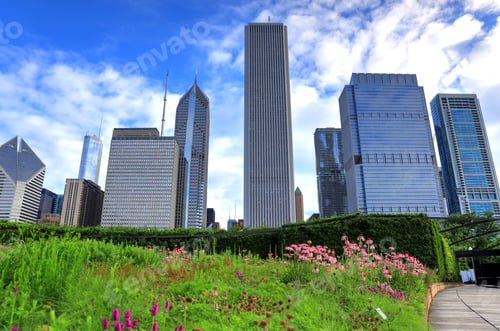 Preview: The Chicago Skyline From Lurie Garden.