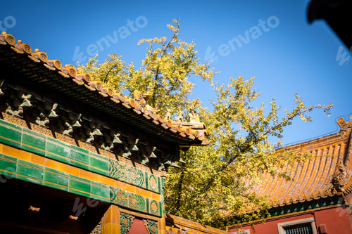 Preview: Forbidden City, Palace Museum. Imperial Palaces Of The Ming And Qing Dynasties In Beijing And