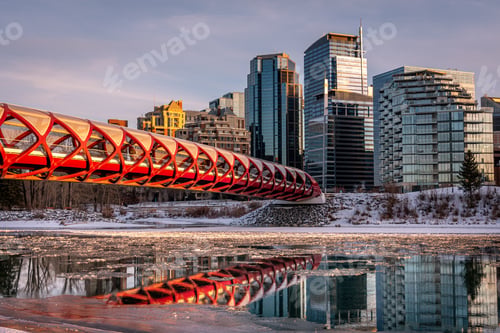 Preview: Evening Skyline View Along The Bow River In Calgary, Alberta. Peace Bridge Visible.