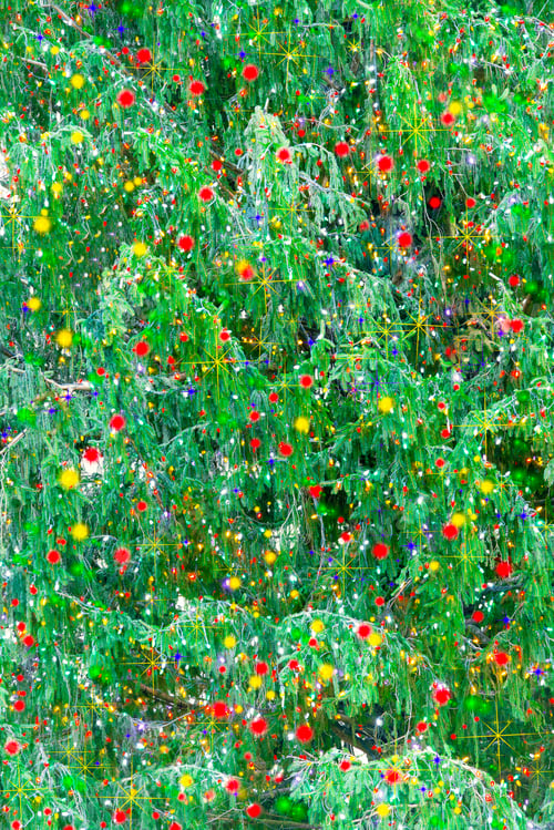 Preview: Detail Of Beautiful Natural Christmas Tree Branches Covered In Colorful Festive Lights