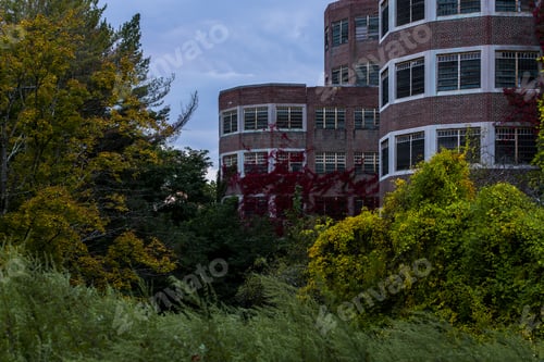 Preview: A Late Evening / Blue Hour View Of The Cheney Memorial Building Surrounded By Yellow Goldenrods And