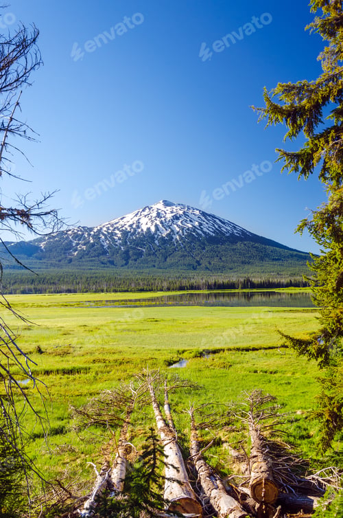 Preview: Mount Bachelor As Seen Through A Clearing Of Trees Near Bend, Oregon