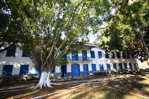 Preview: Mansion In A Old Farm In Brazil