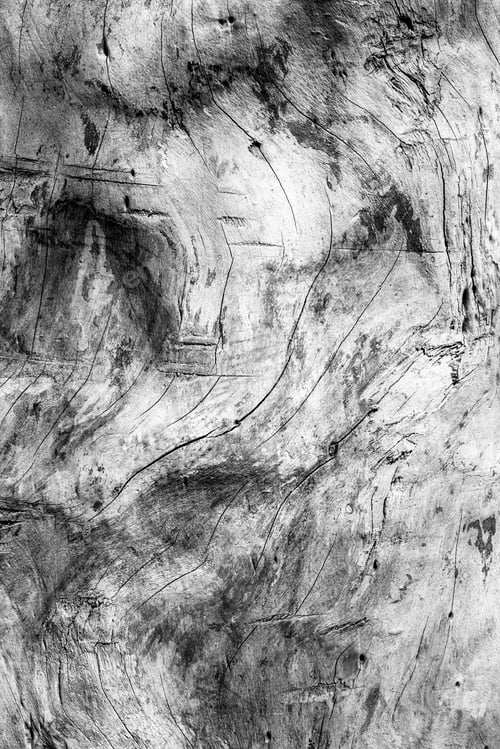 Preview: Black And White Wood Grain Texture