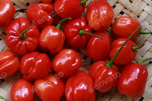 Preview: Close Up Of Red Pepper, Pimenta De Cheiro,
