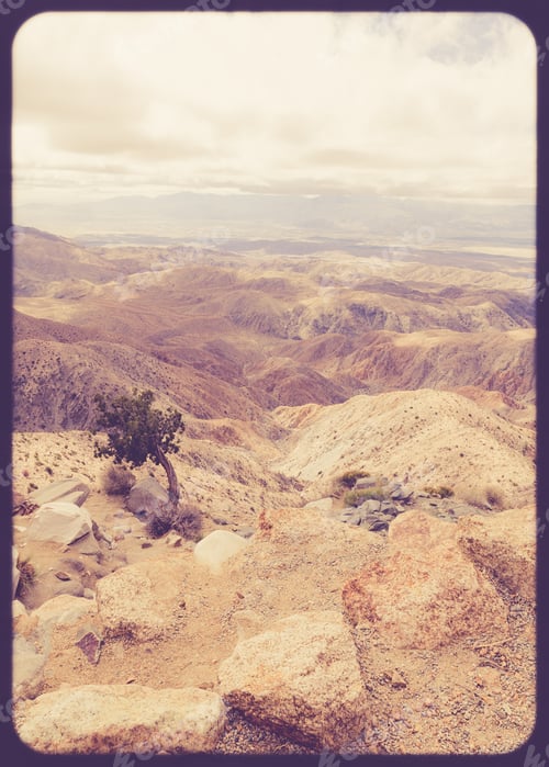 Preview: Vintage Style View Of Tree And California Landscape Mountains At San Andreas Fault From Joshua Tree