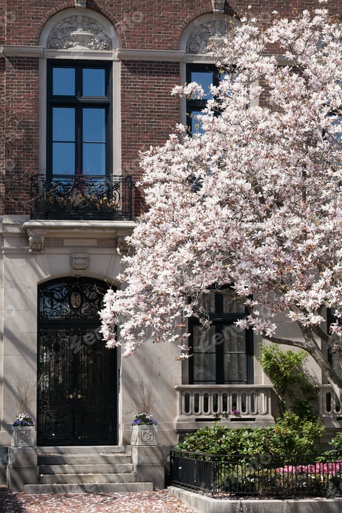 Preview: Boston, Ma United States - May 4, 2015 : First Day Of Spring In Boston With Flower Blossom