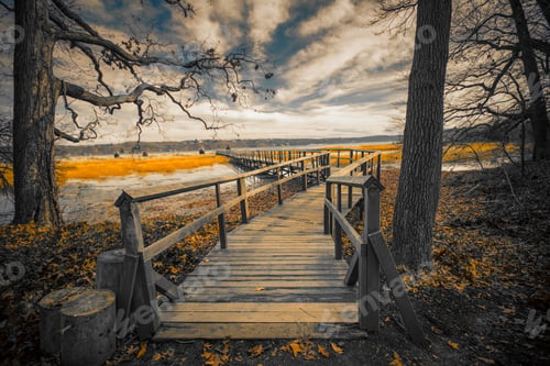 Preview: Wooden Pier And Trees On Cold Gray Day
