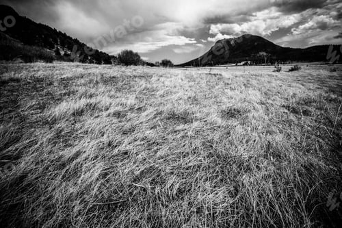 Preview: Black And White View From Rocky Mountain National Park In Colorado With Mountains In The Background