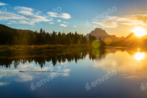 Preview: Bird Swimming In The Snake River As The Sun Sets Over Grand Teton National Park In Wyoming