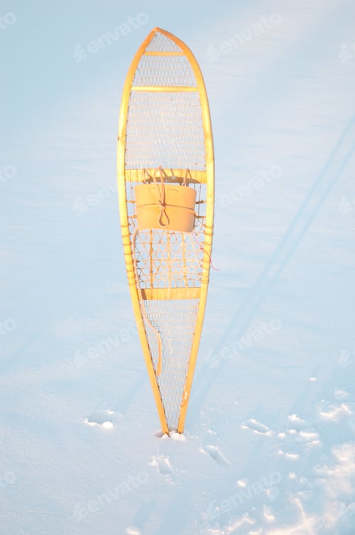 Preview: Snowshoe