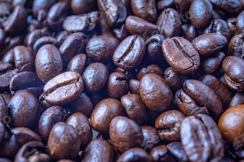 Preview: Coffee Beans Background. Close Up Fresh Roasted Brown