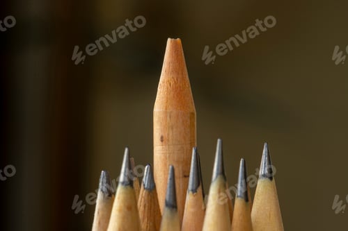 Preview: A Pencil Standing Out From Many Others. Leadership, Exclusivity, Independence, Initiative