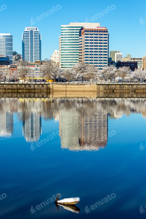 Preview: Downtown Portland, Oregon And A Double Crested Cormorant In The Willamette River